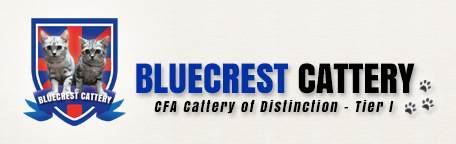 BlueCrestCattery